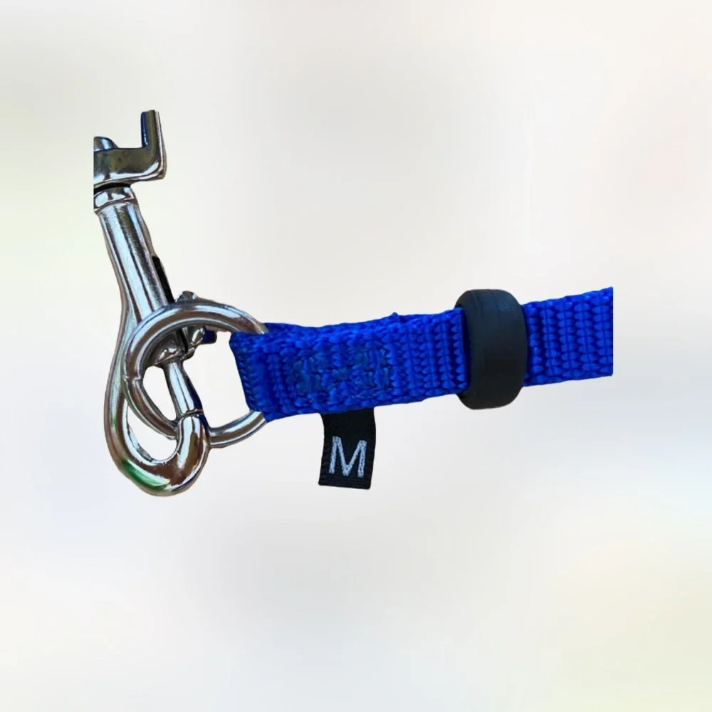 Pet safe come with me kitty harness and bungee leash blue medium